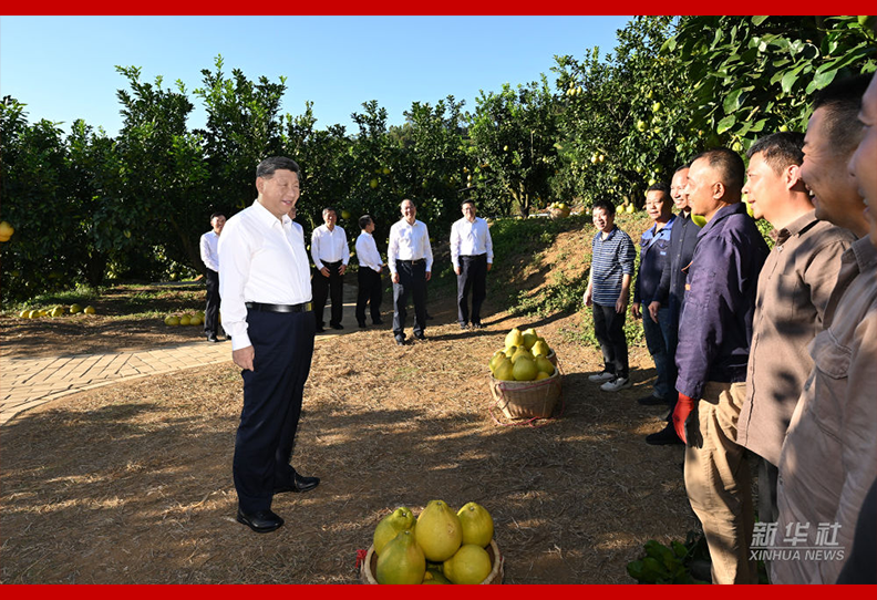 习近平在广东考察时强调 深入学习宣传贯彻党的二十届四中全会精神以全面深化改革开放推动高质量发展